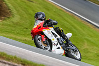 PJ-Motorsport-Photography-2020;anglesey;brands-hatch;cadwell-park;croft;donington-park;enduro-digital-images;event-digital-images;eventdigitalimages;mallory;no-limits;oulton-park;peter-wileman-photography;racing-digital-images;silverstone;snetterton;trackday-digital-images;trackday-photos;vmcc-banbury-run;welsh-2-day-enduro